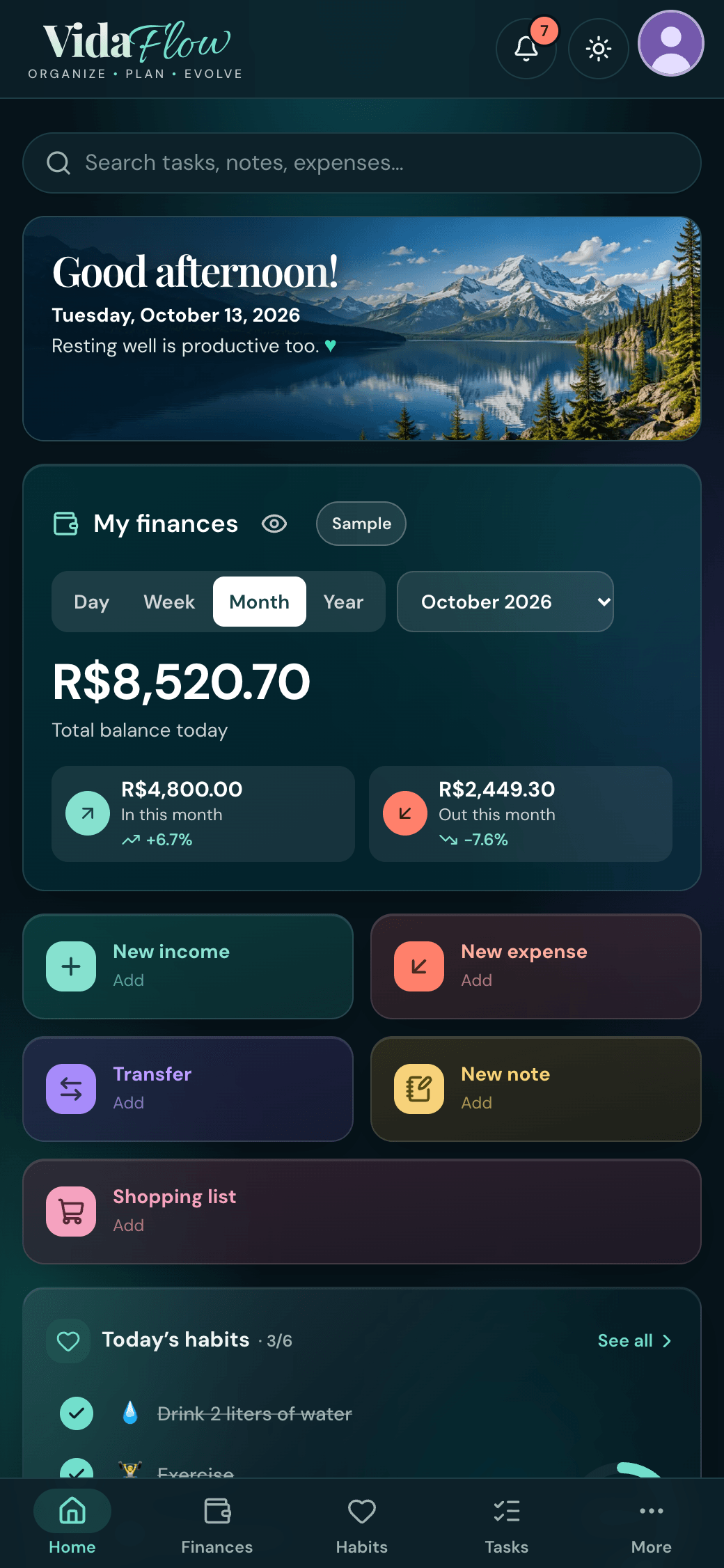 VidaFlow on a phone (sample data)